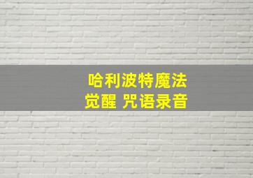 哈利波特魔法觉醒 咒语录音